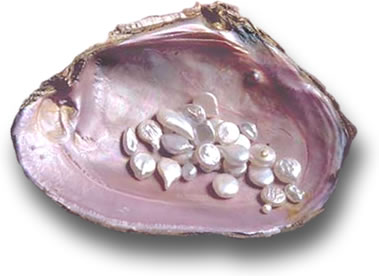 Pearl Shell do Tennessee