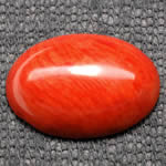 cabochão de coral vermelho