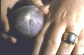 Roy Whetstine Star Sapphire