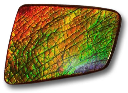 Ammolite não processado