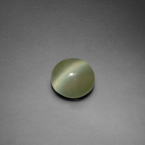 Actinolite cat's eye verde natural 1,39ct, corte redondo, transparente