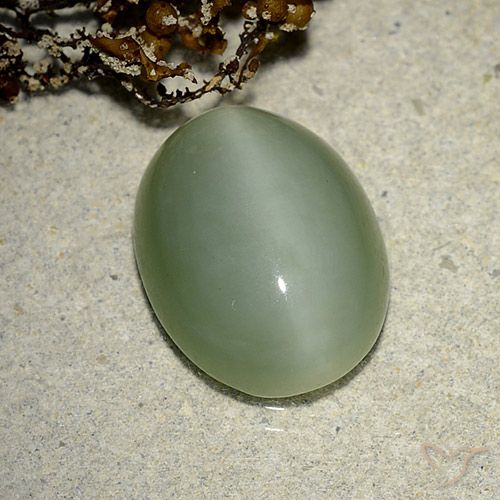 6.14ct Natural Verde Terroso Olho de gato de actinolita, oval, Translúcido