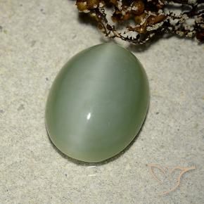 Olho de gato de actinolita Verde Terroso Natural 6.14ct, oval, Translúcido