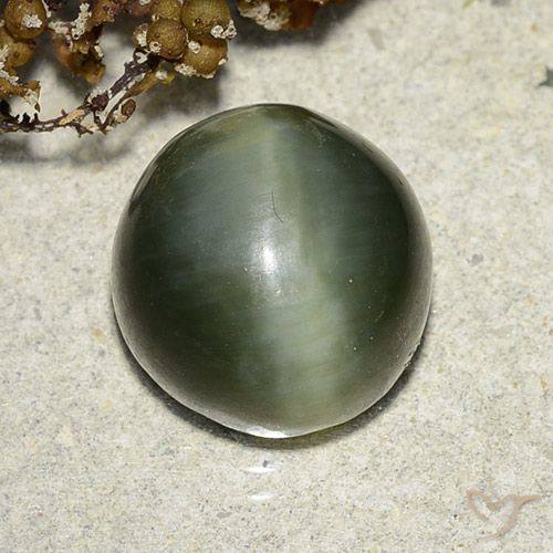 7.39ct Natural Verde Terroso Olho de gato de actinolita, Redondo, Translúcido