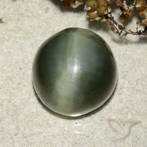Olho de gato de actinolita Verde Terroso Natural 7.39ct, Redondo, Translúcido