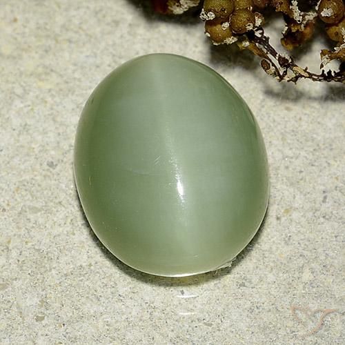 Olho de gato de actinolita Luz verde Natural 6.24ct, oval, Translúcido