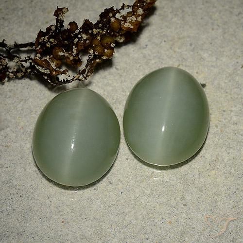 Pedras preciosas de actinolite cat's eye verde natural de 10,64 ct, corte oval, translúcido