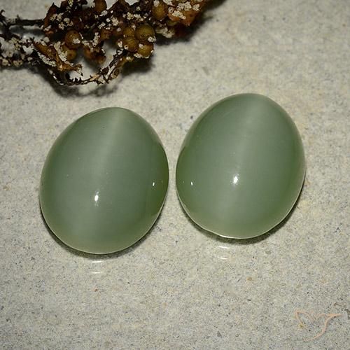 Pedras preciosas de Olho de gato de actinolita Medium Light-Green natural de 12.17 ct, Corte Oval, Translúcido