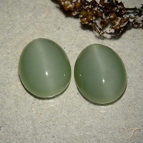 Pedras preciosas de Olho de gato de actinolita Medium Light-Green natural de 12.17 ct, Corte Oval, Translúcido