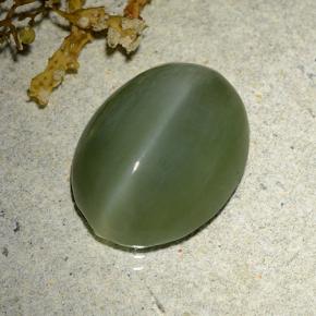 Actinolite cat's eye verde natural 7,61ct, corte oval, translúcido