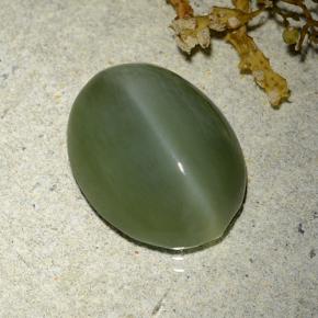 Actinolite cat's eye verde natural 7,61ct, corte oval, translúcido