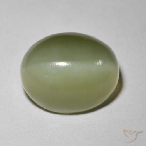 5.80ct Natural Verde Terroso Olho de gato de actinolita, oval, Translúcido