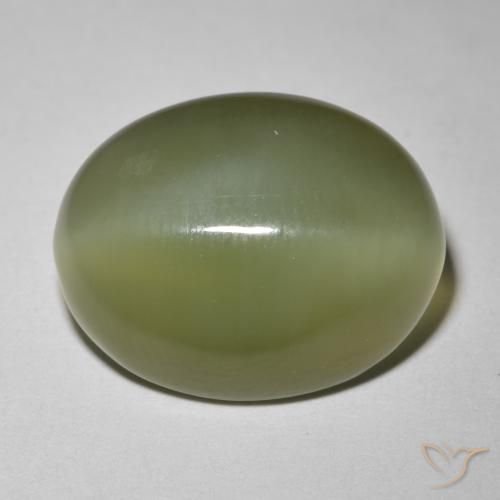 Olho de gato de actinolita verde escuro Natural 8.12ct, oval, Translúcido