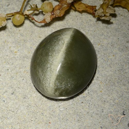 4.60ct Natural Verde acastanhado Olho de gato de actinolita, oval, Opaco