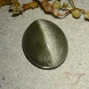 Olho de gato de actinolita Verde acastanhado Natural 4.60ct, oval, Opaco