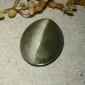Olho de gato de actinolita Verde acastanhado Natural 4.60ct, oval, Opaco