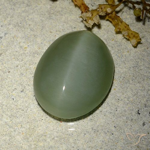 6.77ct Natural Verde Médio-Claro Olho de gato de actinolita, oval, Translúcido