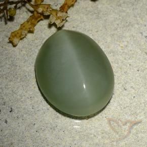 Olho de gato de actinolita Verde Médio-Claro Natural 6.77ct, oval, Translúcido