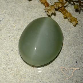 Olho de gato de actinolita Verde Médio-Claro Natural 6.77ct, oval, Translúcido