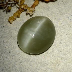 Actinolite cat's eye verde natural 7,84ct, corte oval, translúcido