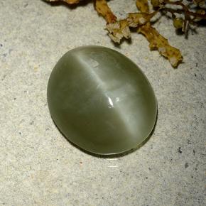 Actinolite cat's eye verde natural 7,84ct, corte oval, translúcido