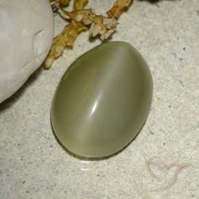 Olho de gato de actinolita Verde amarelado Natural 5.88ct, oval, Translúcido