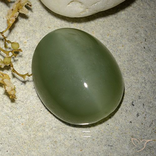 12.38ct Natural Exército verde Olho de gato de actinolita, oval, Translúcido