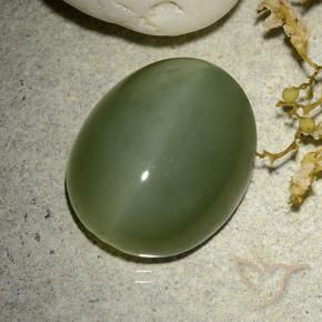 Olho de gato de actinolita Exército verde Natural 12.38ct, oval, Translúcido