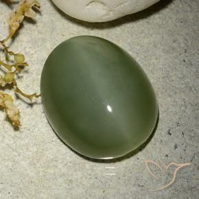 Olho de gato de actinolita Exército verde Natural 12.38ct, oval, Translúcido