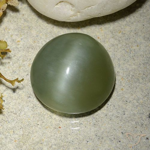 5.56ct Natural verde quente Olho de gato de actinolita, Redondo, Translúcido