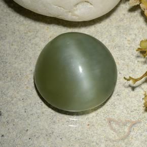 Olho de gato de actinolita verde quente Natural 5.56ct, Redondo, Translúcido