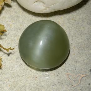 Olho de gato de actinolita verde quente Natural 5.56ct, Redondo, Translúcido