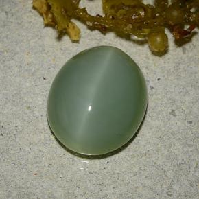 Actinolita olho de gato verde natural 6,19ct, corte oval, translúcido