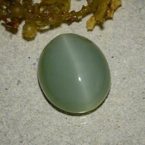 Actinolita olho de gato verde natural 6,19ct, corte oval, translúcido