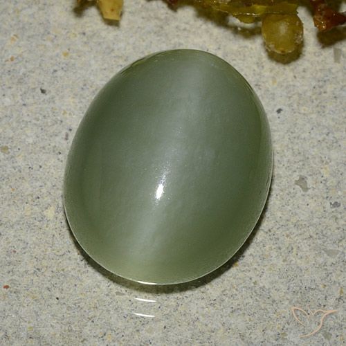 6.83ct Natural verde quente Olho de gato de actinolita, oval, Translúcido