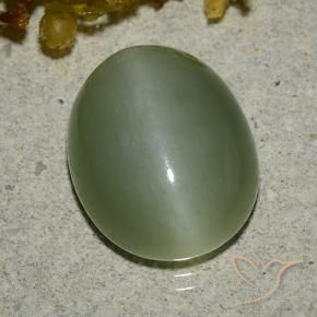 Olho de gato de actinolita verde quente Natural 6.83ct, oval, Translúcido