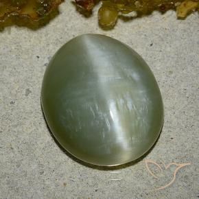 Olho de gato de actinolita Verde médio Natural 8.60ct, oval, Translúcido