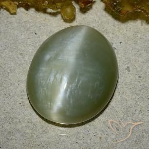 Olho de gato de actinolita Verde médio Natural 8.60ct, oval, Translúcido