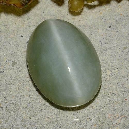 Olho de gato de actinolita Verde musgo claro Natural 5.92ct, oval, Translúcido