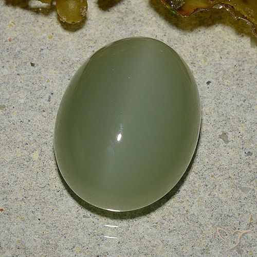 6.92ct Natural Exército verde Olho de gato de actinolita, oval, Translúcido