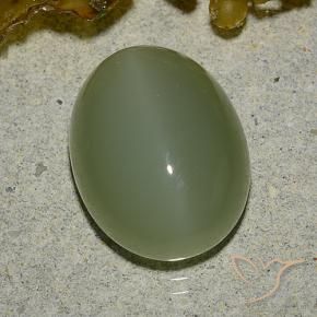 Olho de gato de actinolita Exército verde Natural 6.92ct, oval, Translúcido