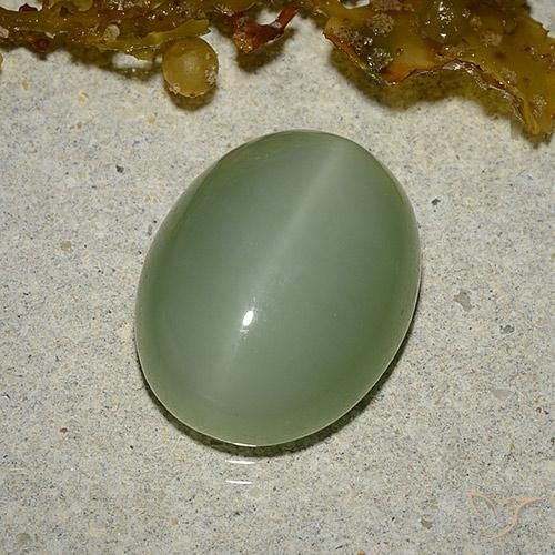 6.46ct Natural Verde Terroso Olho de gato de actinolita, oval, Translúcido