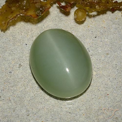 Olho de gato de actinolita Verde Terroso Natural 6.46ct, oval, Translúcido