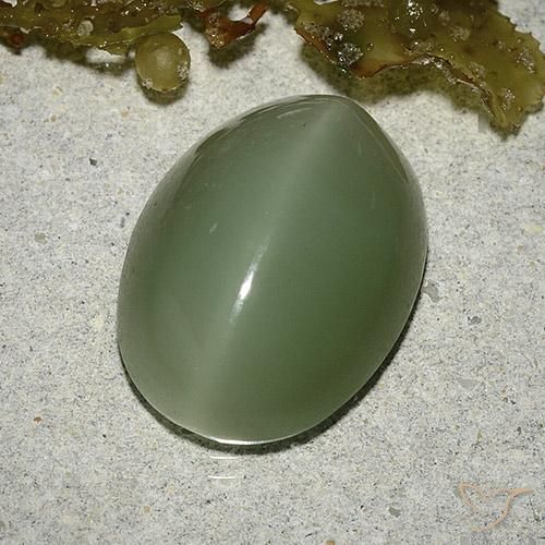 Actinolite cat's eye verde natural 8,04ct, corte oval, translúcido
