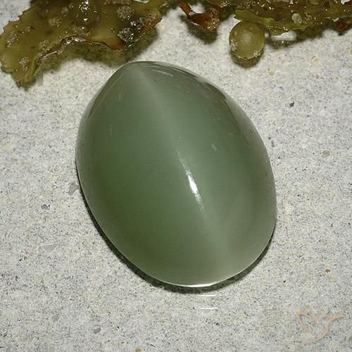 Actinolite cat's eye verde natural 8,04ct, corte oval, translúcido