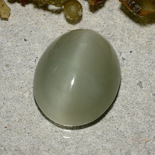 5.33ct Natural Verde acastanhado Olho de gato de actinolita, oval, Translúcido