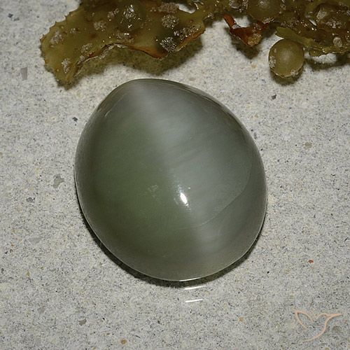 6.78ct Natural Verde médio Olho de gato de actinolita, oval, Translúcido