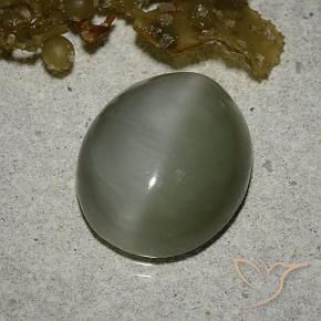 Olho de gato de actinolita Verde médio Natural 6.78ct, oval, Translúcido