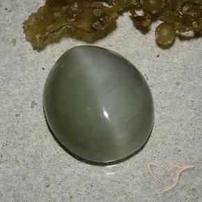 Olho de gato de actinolita Verde médio Natural 6.78ct, oval, Translúcido