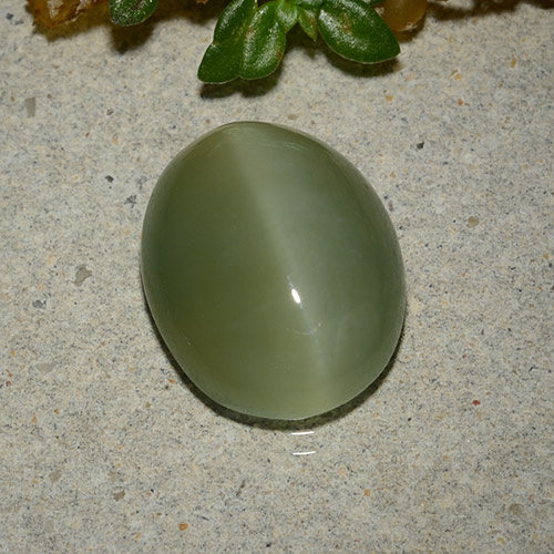 Actinolite cat's eye verde natural 5,33ct, corte oval, translúcido